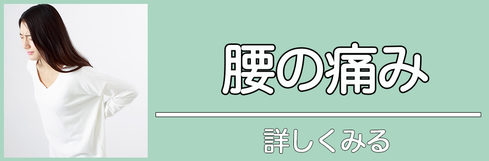 腰の痛み|詳しくみる